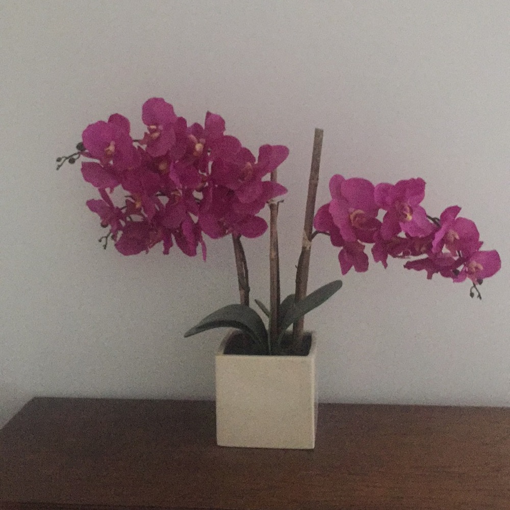 Meet your Posher, Robin